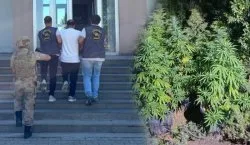 Bingöl`de 38 şüpheli yakalandı